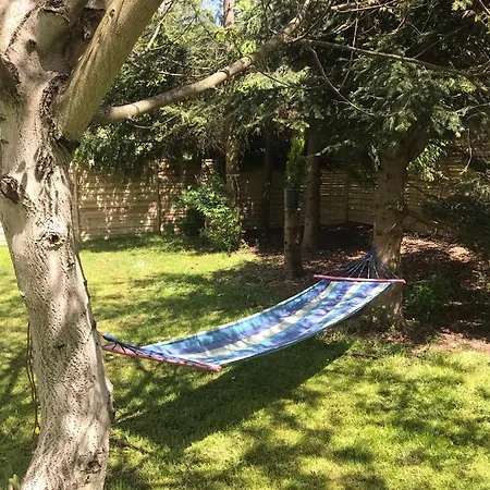 Damianki - Cały Dom