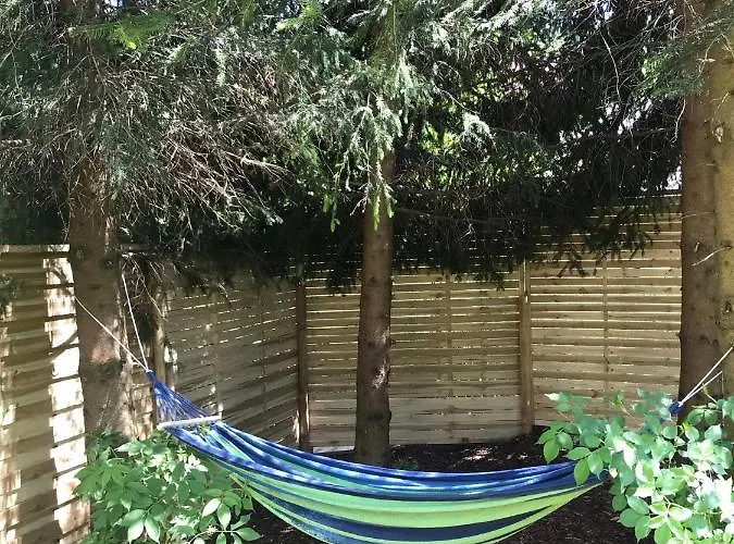 Damianki - Caly Dom * זאבוייה